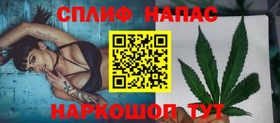 твердый Будённовск