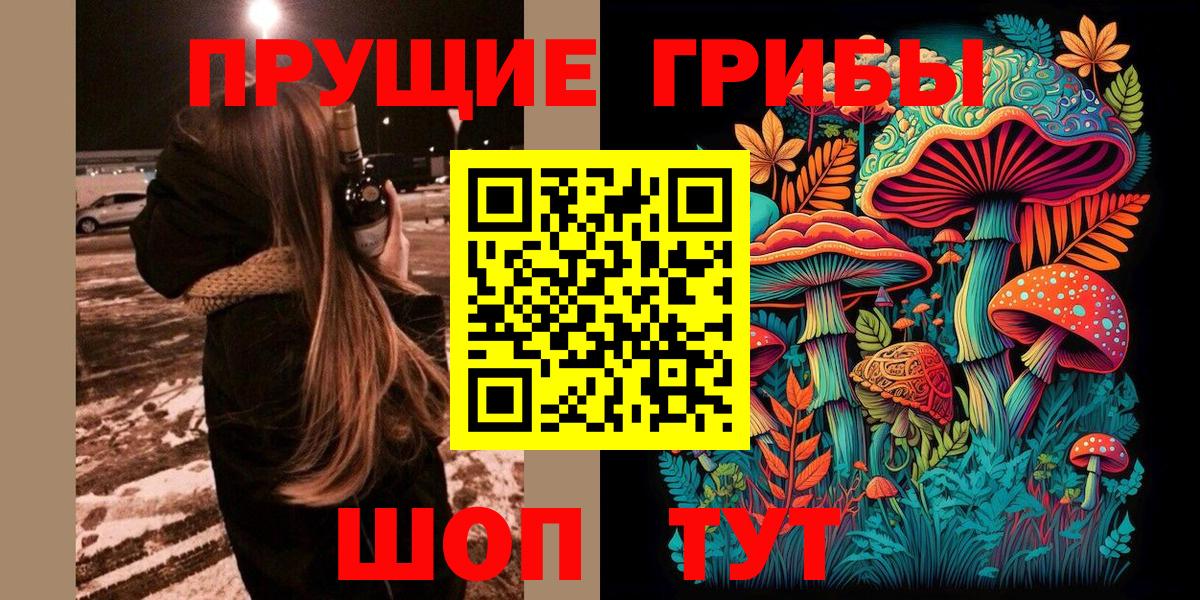 Псилоцибиновые грибы Psilocybe Ревда