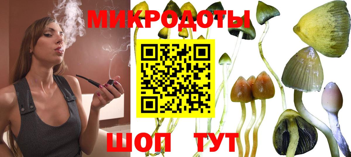 Галлюциногенные грибы мицелий  Галлюциногенные грибы Psilocybe  Ревда  Вход с VPN 